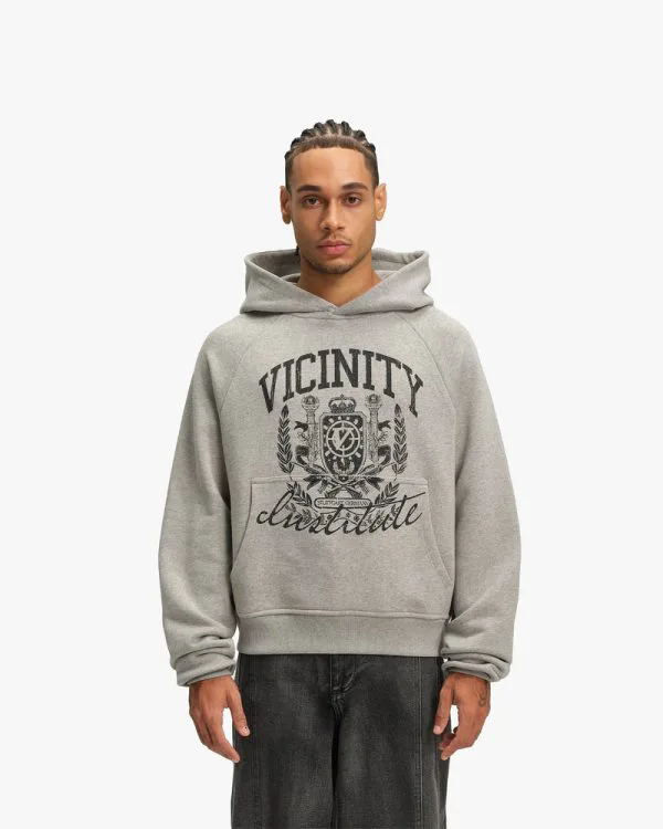 INSTITUTE HOODIE GREY MELANGE - Sweats & Hoodies - streetwear Avenue Wear